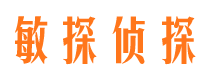 城区侦探调查公司